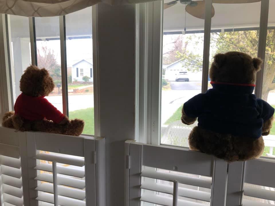 bear hunt photos (34).jpg